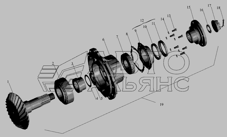 Схема Редуктор заднього моста. Шестерня ведуча » Зчеплення для МАЗ-6422, 5432