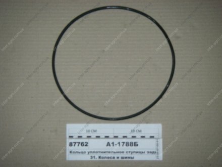 Фото 1 - кольцо уплотнительное ступицы задней КАМАЗ-6520 (пр-ва КАМАЗ) КамАЗ, Набережные Челны А1-1788Б Кольцо уплотнительное ступицы задней КАМАЗ-6520 (пр-ва КАМАЗ) КамАЗ, Набережные Челны А1-1788Б (фото 1)
