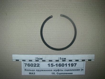 Кольцо пружинное муфты сцепления Беларусь 15-1601197 (фото 1)