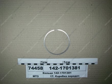 Кольцо уплотнительное МТЗ (Беларусь) 142-1701381 (фото 1)