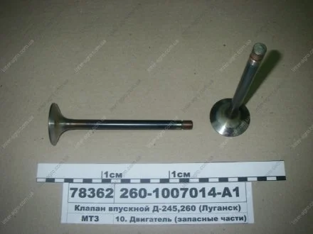 Клапан впускний Д-245, 260 фаска 30 (AMP) Н/в 260-1007014-А1