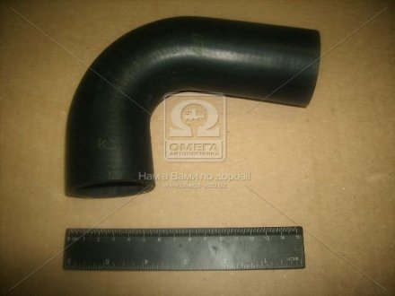 Фото 1 - шланг насоса водяного МОСКВИЧ подводящий (БРТ) Балаковорезинотехника ОАО 412-1303030 Шланг насоса водяного МОСКВИЧ подводящий (БРТ) Балаковорезинотехника ОАО 412-1303030 (фото 1)