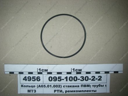 Кольцо (А65.01.002) (стакана ПВМ; трубы шкворня) (Рось-Гума) Рось-гума 095-100-30-2-2