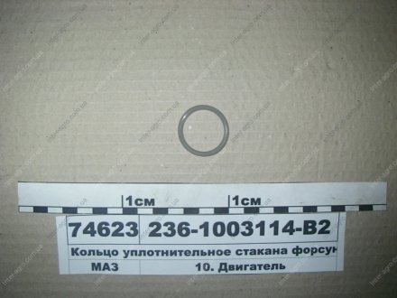 Кільце ущільнювальне склянки форсунки (вир-во) ЯМЗ 236-1003114-В2