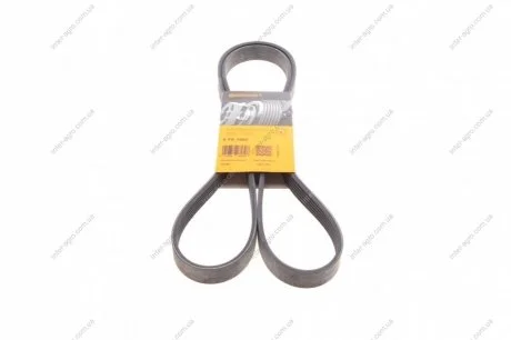 Ремінь поліклін. (покуп. ГАЗ) 6PK1685