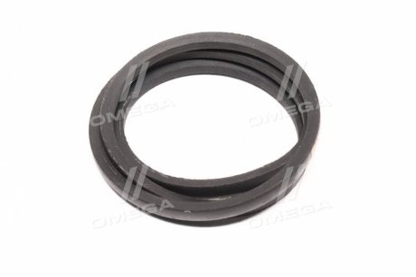 Ремень (ВБ-1750) (выр-во PIX Индия) PIX, Индия В-1750