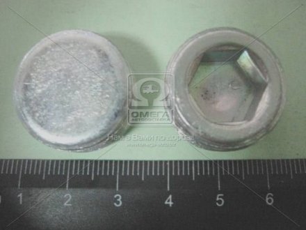 Фото 1 - пробка редуктора с/м сливная ВАЗ, башмака КамАЗ внутренн. М22 (выр-во Белебей) БелЗАН 1/43253/01 Пробка редуктора с/м сливная ВАЗ, башмака КамАЗ внутренн. М22 (выр-во Белебей) БелЗАН 1/43253/01 (фото 1)