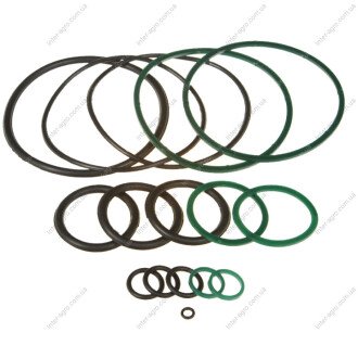 Ремкомплект гідроциліндра ЦС-100 (старого зразка) (Біко) Бико, Украина ЦС-100- р/к