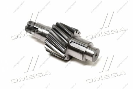 Фото 1 - шестерня ведущая цилиндрическая КАМАЗ Z=15 RIDER 5320-2402110-40 Шестерня ведущая цилиндрическая КАМАЗ Z=15 RIDER 5320-2402110-40 (фото 1)