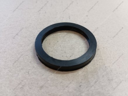 Кольцо кулака разжимного КАМАЗ, ЗИЛ, ПАЗ RIDER RD.5320-3501117