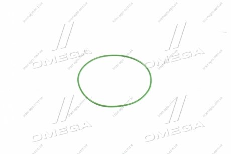 Фото 1 - кольцо уплотнительное гильзы КАМАЗ верхнее (тонкое, зеленый силикон) Tempest 740.1002031 Кольцо уплотнительное гильзы КАМАЗ верхнее (тонкое, зеленый силикон) Tempest 740.1002031 (фото 1)