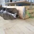 Вал колінчастий кований В41243421Т (двигун Д 3900, Perkins) (погрузчик Balkancar) (ТМ Вalu) BALU В41243421Т, GM11011 (фото 3)