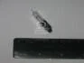 Лампа розжарювання H21W 12V 21W BAY9s (вир-во) Philips 12356CP (фото 2)