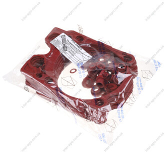 Ремкомплект двигуна КАМАЗ ЄВРО (3 найм.) червоний (Альбіон-Авто) Альбион-Авто 740.1003209кр