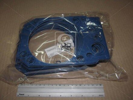 Ремкомплект двигателя КАМАЗ ЕВРО (3 наим., синий) Альбион-Авто 740.1003213-21