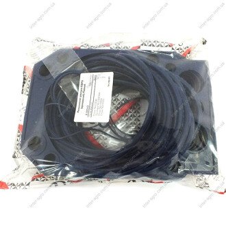 Ремкомплект прокладок головки блока КАМАЗ ЕВРО армированный синий (4 наим. 40шт) Альбион-Авто 740.30-1003213