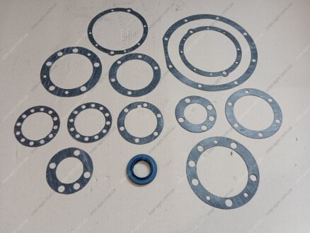 Ремкомплект мосту УАЗ переднього (сальник ПРЕМІУМ + прокладки ПАРОНІТ, 8 найменувань) DETALKA 3741-1701210