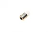 Лампа розжарювання R10W 12V 10W BA15s ECO (вир-во) BOSCH 1987302816 (фото 2)